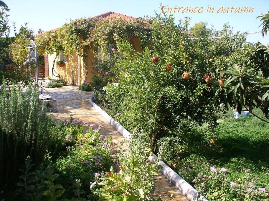 Adonino Residence-The House Of Pomegranates Lakíthra Zewnętrze zdjęcie