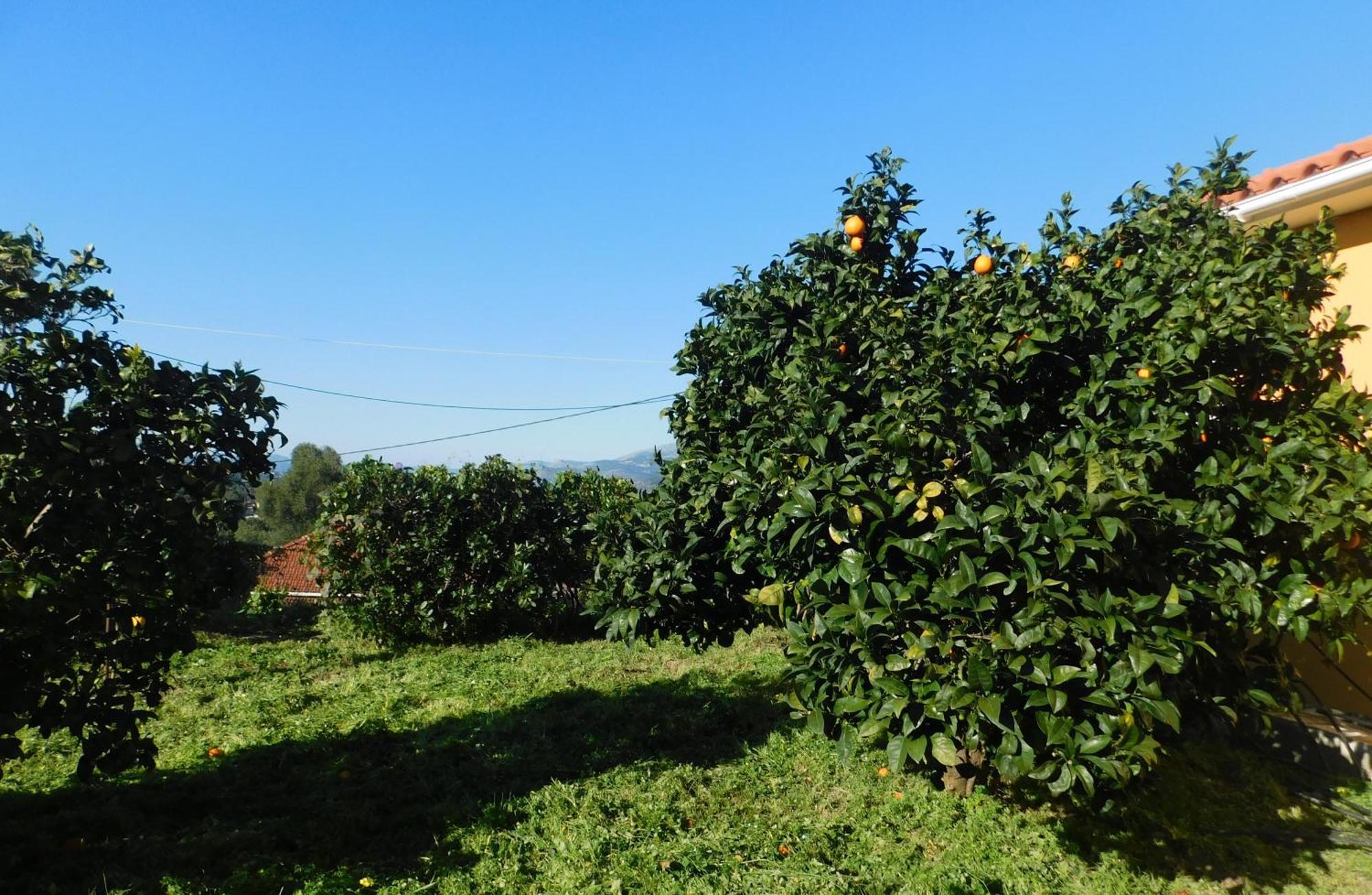 Adonino Residence-The House Of Pomegranates Lakíthra Zewnętrze zdjęcie